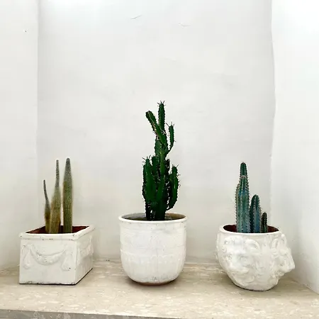 Piazza E Onde Appartement *